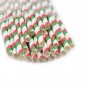 Paper Straws - Red & Green Stripes x25